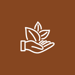 Shop Gourmet Flavored Coffees with Irresistible Aromas